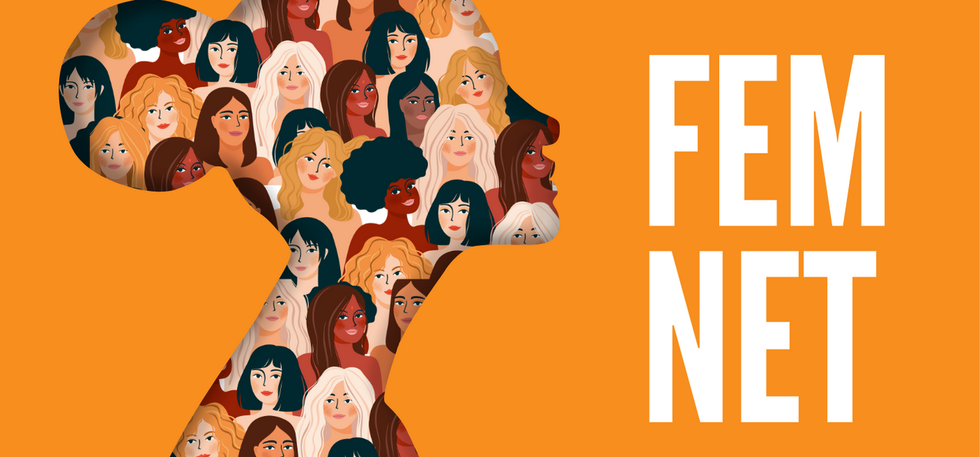 fem-net