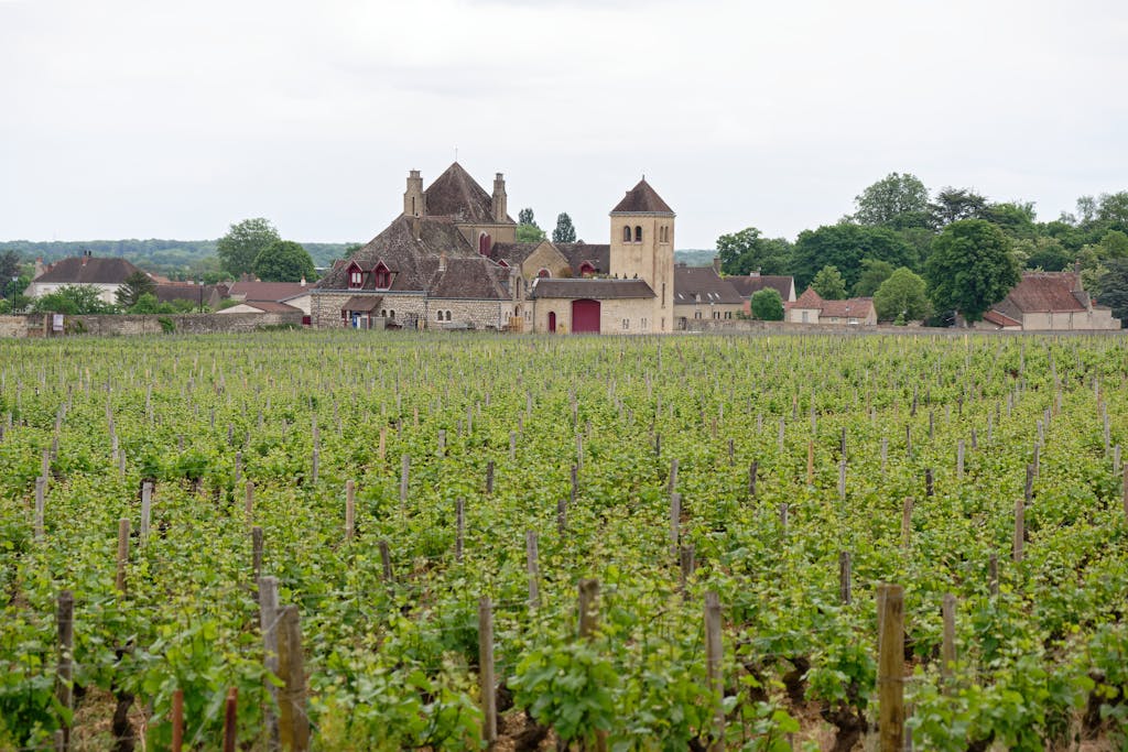 Scenic view of Clos de Vougeot Castle surrounded by a vineyard in Bourgogne, France.